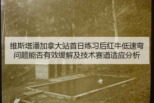 维斯塔潘加拿大站首日练习后红牛低速弯问题能否有效缓解及技术赛道适应分析