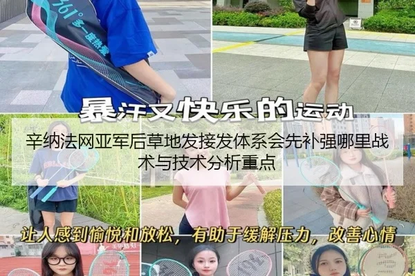 辛纳法网亚军后草地发接发体系会先补强哪里战术与技术分析重点